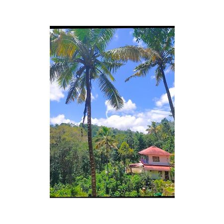 Athens Cottage 무나르 외부 사진